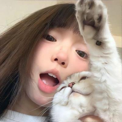 纳粹庞克 封面