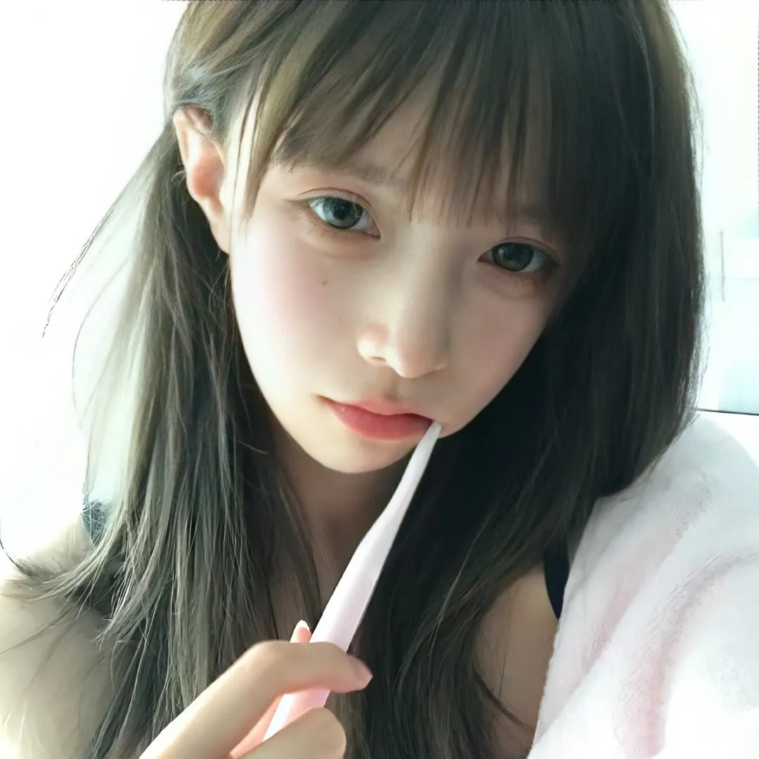 相思树 封面