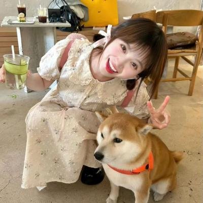 寻亲 封面